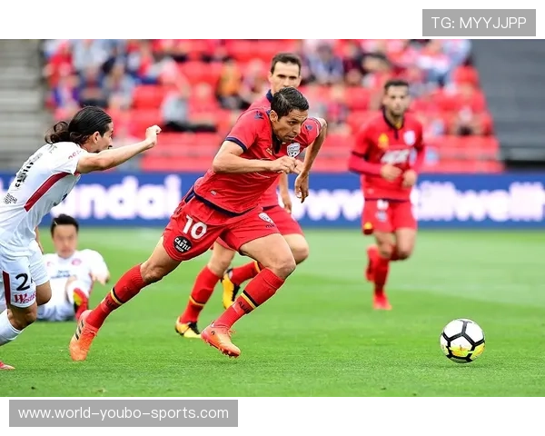 弗赖堡俱乐部最新动态曝光 新赛季阵容与战术调整解析